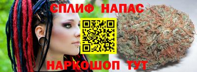 мяу мяу мука Будённовск